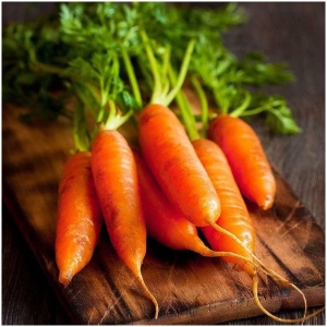 Buy Carrot seeds