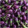 Hybrid Brinjal Seeds