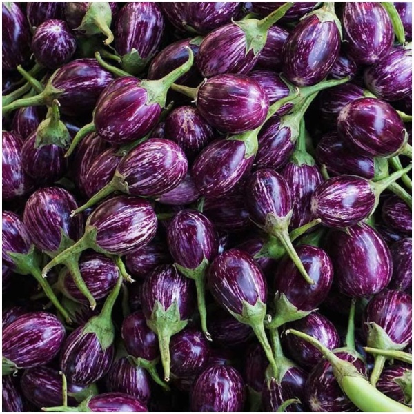 Hybrid Brinjal Seeds