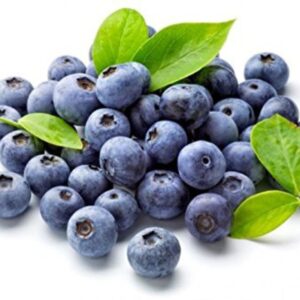 Buy Blueberry Fruit Seeds (Pack of 10 Seeds)