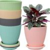 Buy Plastic Round Flower Pots for Home Planters, Terrace, Garden Etc | Pack of 05 | Multicolor | Suitable for Home Indoor & Outdoor Gardening Plants