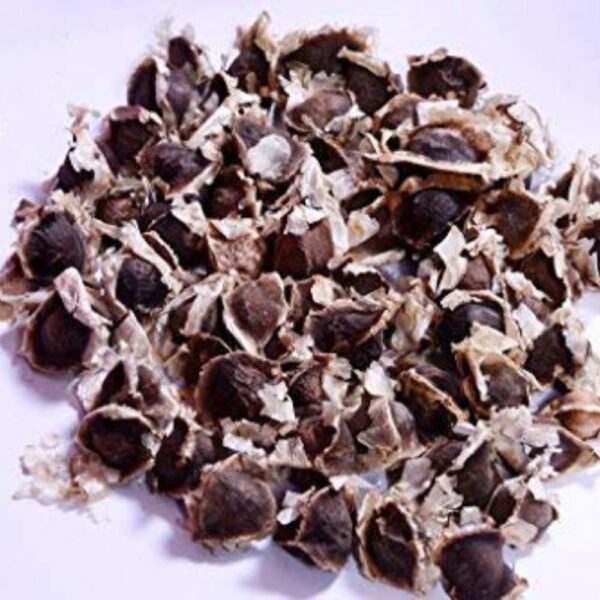 Buy PKM 1 Drumstick Seeds | Drumstick Seeds Moringa Seeds, pack of 10 seeds India 2024