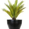 Buy Small Black Planter Tough and Stylish Planters!