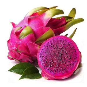 Buy Blood Mary Dragon Fruit Seed For Home Planting