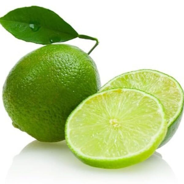 Buy Thai Lemon Plant - Live Hybrid, Seedless, All-Season