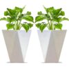 Buy Premium Planters by Binny Botanics for Every Space