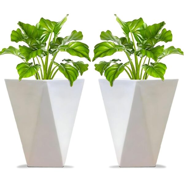 Buy Premium Planters by Binny Botanics for Every Space