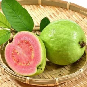 Buy Guava Seeds for planting guava seeds hybrid Fruits seeds guava seeds hybrid all seasons taiwan pink guava seeds thai guava seeds red guava seed 100 pcs par packet