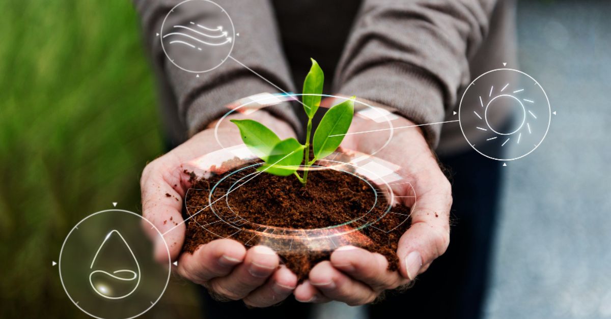 How to Use Vermicompost in Potted Plants