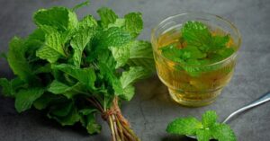 Top 10 Medicinal Plants and Their Uses