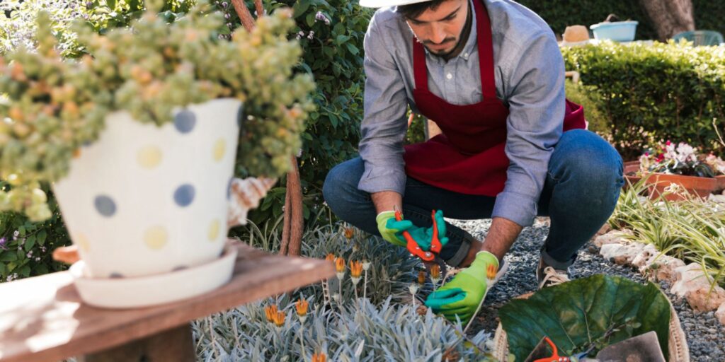 Essential Gardening Terms Every Beginner Should Know - 2024